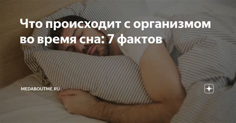 Что происходит с организмом во время сна?