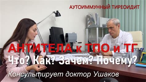 Что такое АТ-ТПО и какое значение имеет отрицательный результат