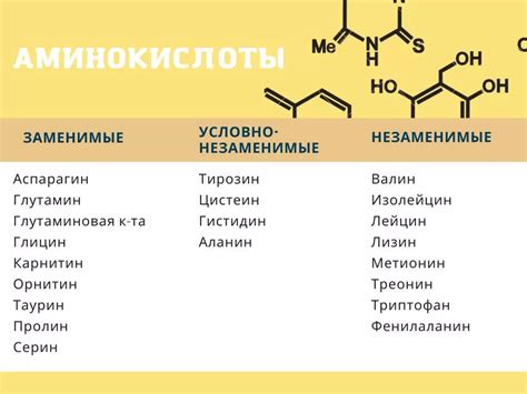 Что такое аминокислоты и их роль в организме