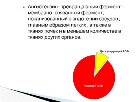 Что такое ангиотензин-превращающий фермент (АПФ)