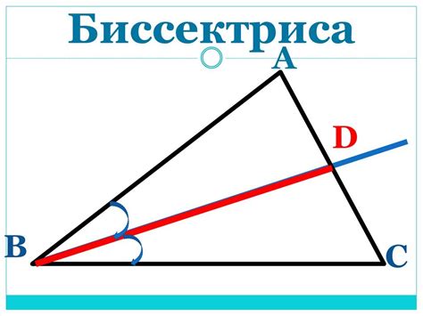 Что такое биссектриса и как ее найти