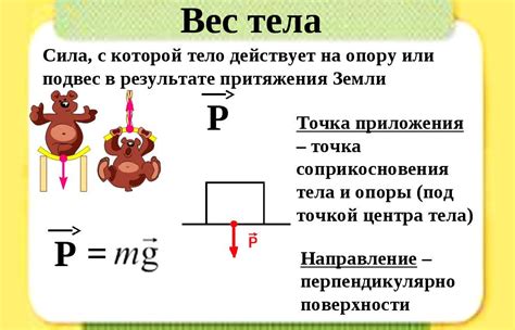 Что такое вес?