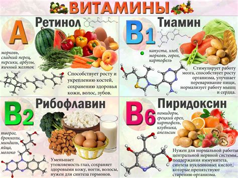 Что такое витамины и какую роль они играют?