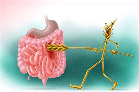 Что такое глютеновая непереносимость