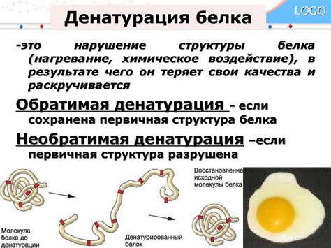 Что такое денатурация