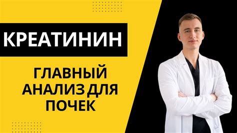 Что такое креатинин? Значение его повышения