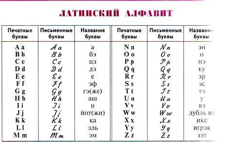 Что такое латинские буквы и почему они важны?