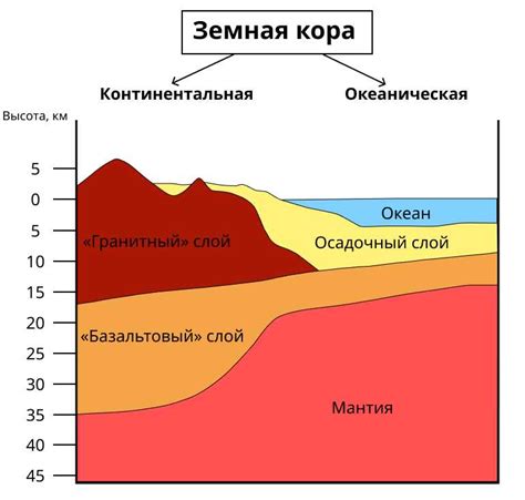 Что такое литосфера в биологии