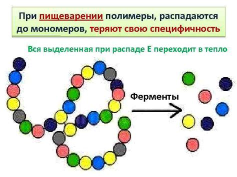 Что такое мономеры в химии: основные понятия и свойства