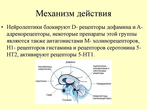 Что такое нейролептики и транквилизаторы