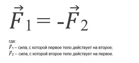 Что такое ньютон в физике 7 класс?