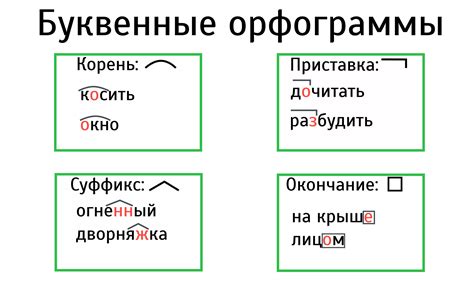 Что такое орфограмма в корне глагола?