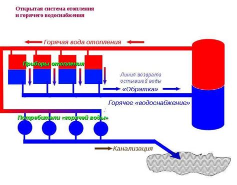 Что такое открытые и закрытые системы в биологии?