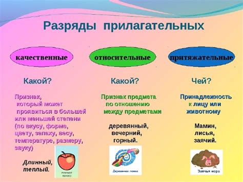 Что такое притяжательное прилагательное?