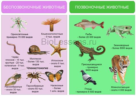 Что такое семейство в биологии?