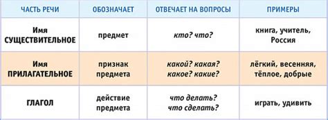 Что такое существительное, прилагательное и глагол: правила и примеры