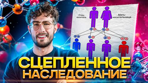 Что такое сцепленное наследование