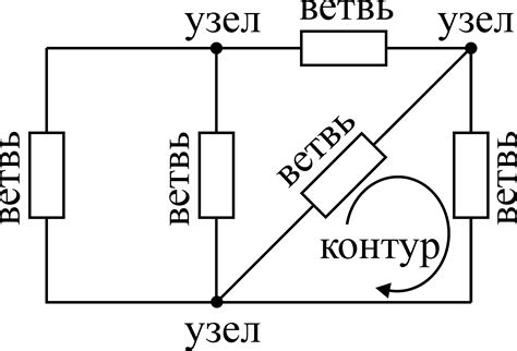 Что такое узлы и ветви