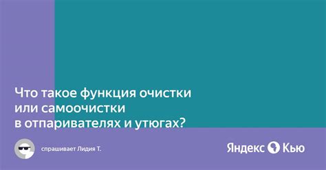 Что такое функция самоочистки?