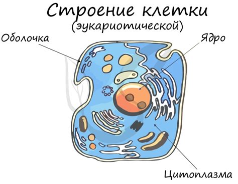 Что такое цитология и ее роль в изучении наследственности?