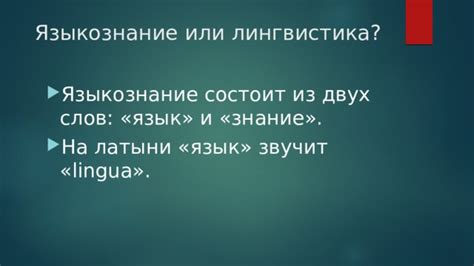 Что такое языкознание и его важность