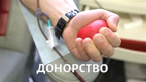 Что учитывать перед сдачей крови на донорство