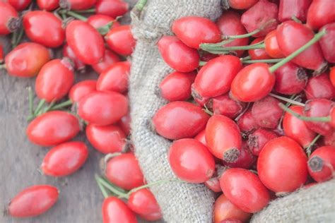 Шиповник - рядом со вкусом также изобилие полезных веществ