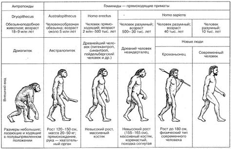 Эволюция названия в современное время