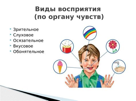 Эволюция органов чувств