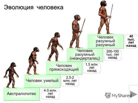 Эволюция человека: от обезьяны до Homo sapiens