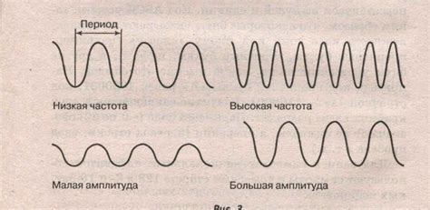 Экологические аспекты проводимости звука в воде и воздухе