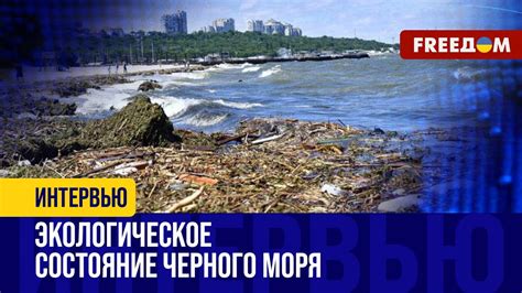 Экологическое состояние акватории Черного моря