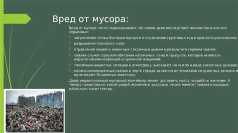 Экономические последствия загрязнения города мусором