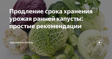 Экономия энергии и продление срока хранения продуктов