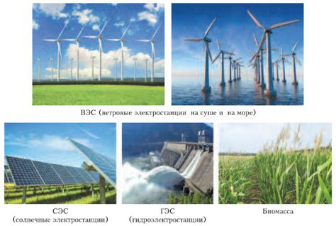 Экосистема и ее зависимость от солнечной энергии