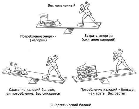 Энергетический баланс: как проводится измерение?