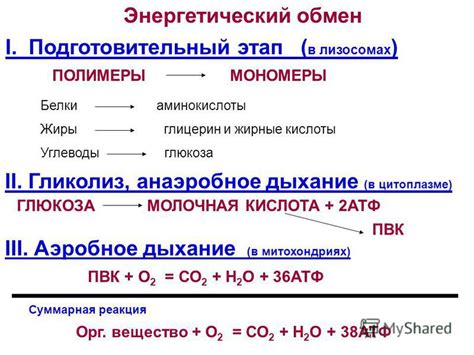 Энергетический потенциал глюкозы: основа жизни