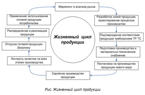 Этапы производства и секреты качественного продукта