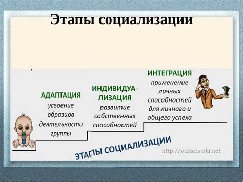 Этапы социализации в развитии личности