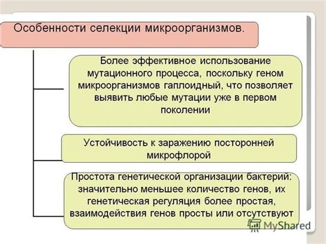 Этические аспекты биотехнологии и ее влияние на общество