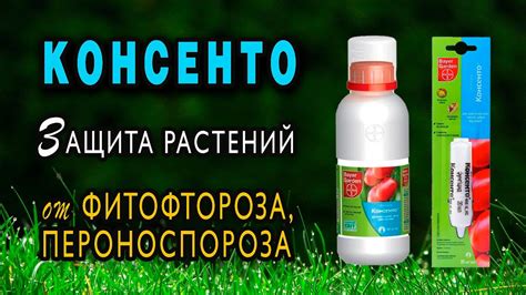 Эффективная защита растений