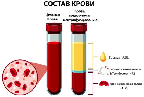 Эффективность PRP-терапии в лечении коленного сустава