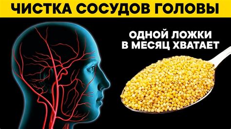 Эффективные добавки для сосудов головы