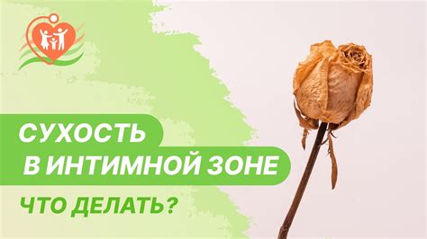 Эффективные способы решения проблемы сухости во влагалище: