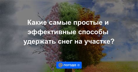 Эффективные способы устранить снег на голову