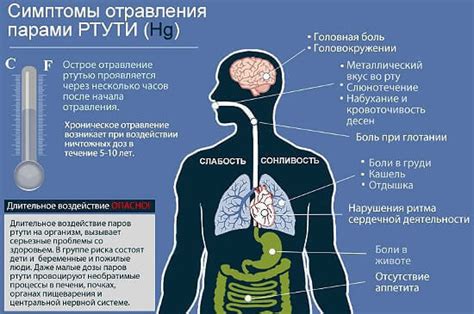 Эффекты ртутного отравления и их последствия