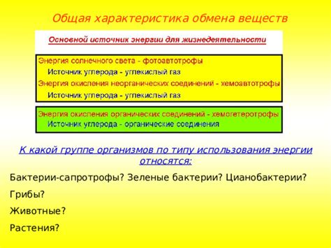 Эффект использования растительных стимуляторов обмена веществ