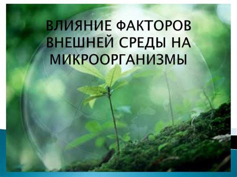  Влияние вещественной среды 