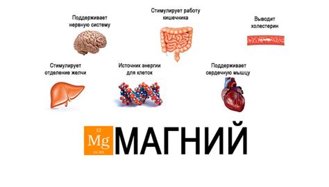  Возможные последствия для организма 