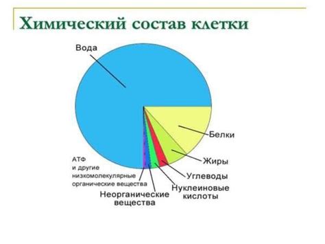  Какие вещества присутствуют в йодофильной флоре кала? 